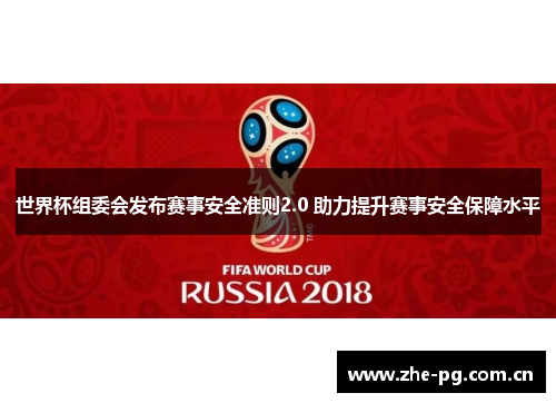 世界杯组委会发布赛事安全准则2.0 助力提升赛事安全保障水平
